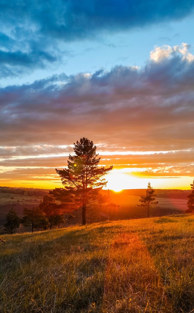 Photograph by Анастасия