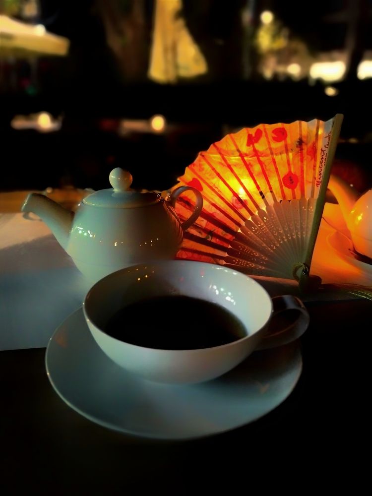 Фотография автора JELENA VASIC