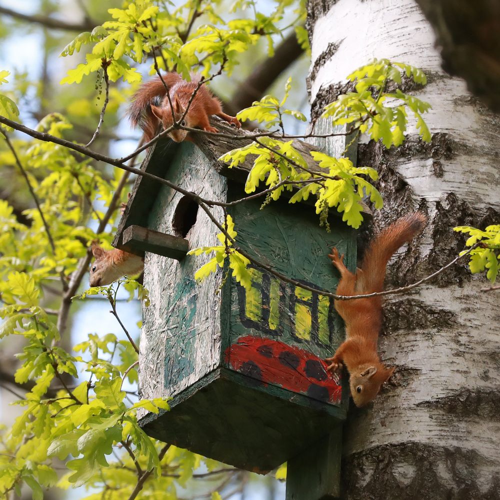 Photograph by Наталья Суслова