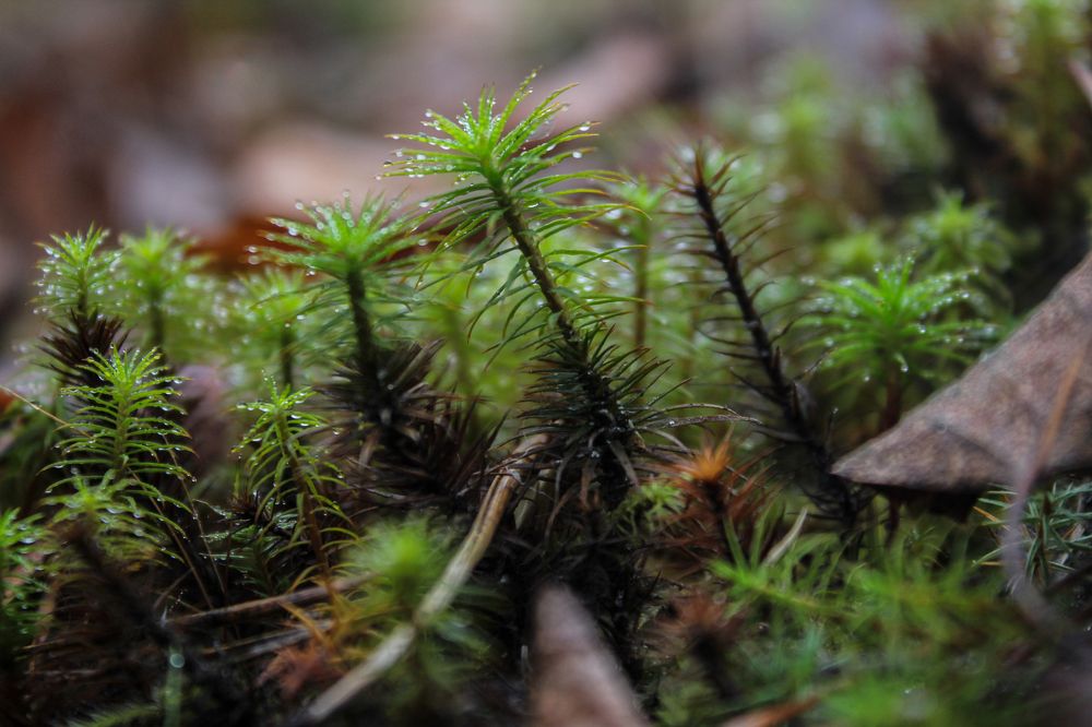 Photograph by Михаил