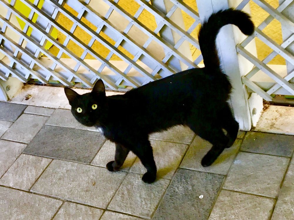 Photograph by Елена Ким