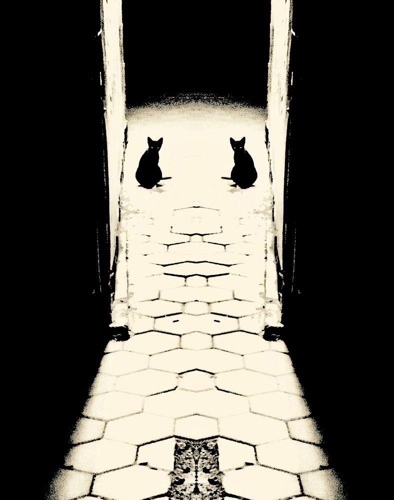 Photograph by Елена Ким