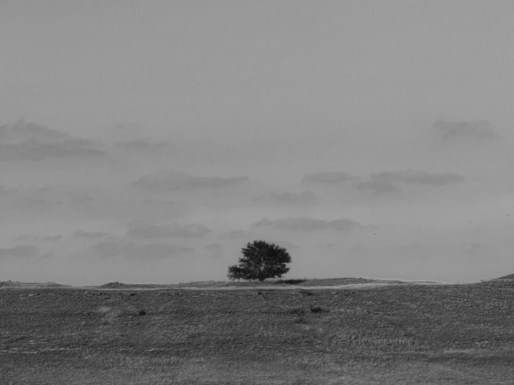 Photograph by Анастасия Кизилова