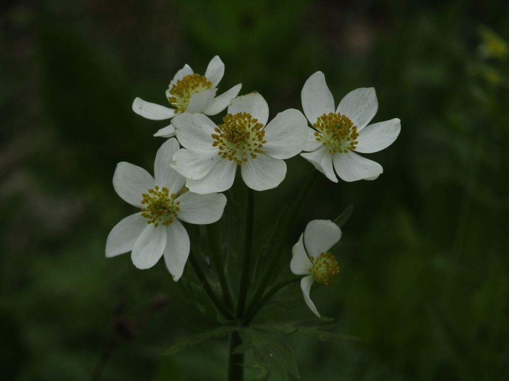 Photograph by Илья Шевченко