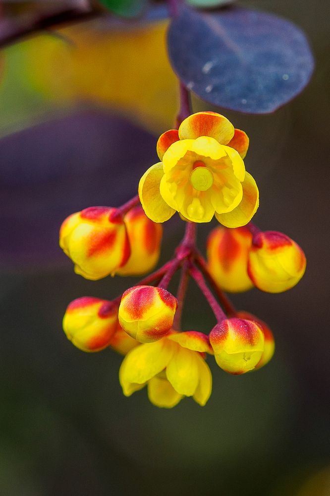 Photograph by Азат Кадиров