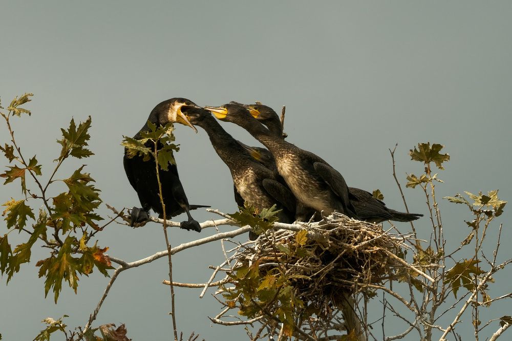 Photograph by Dimitris Vavliaras