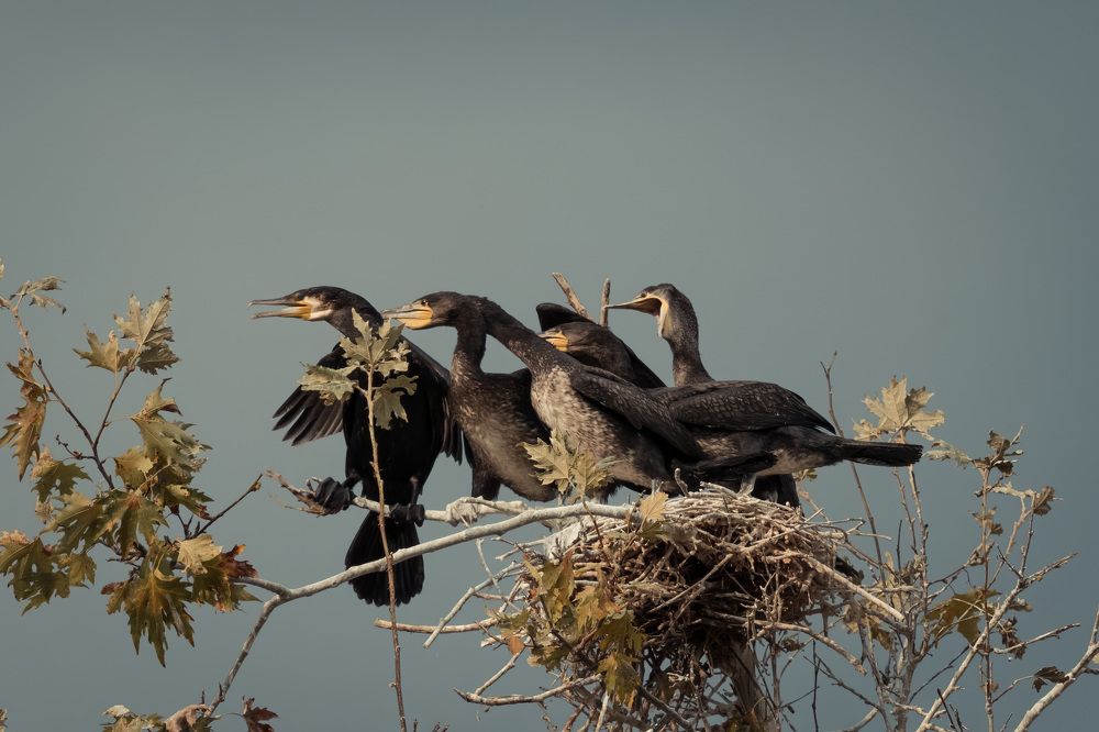 Photograph by Dimitris Vavliaras