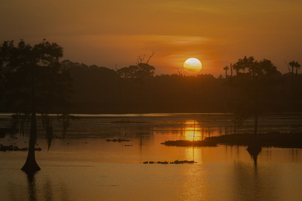 Фотография автора Erik Nelson