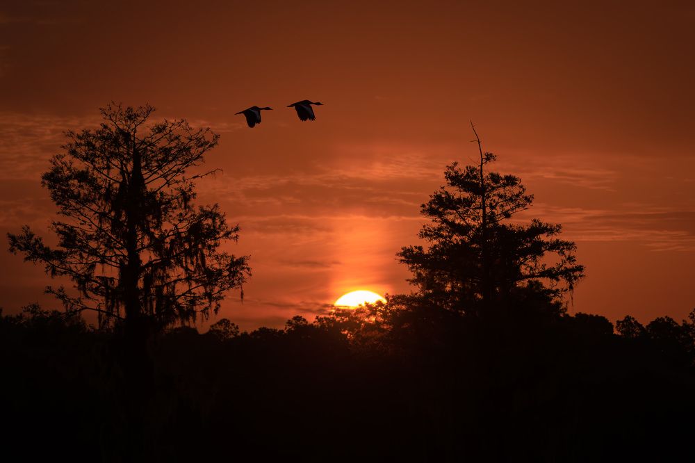 Фотография автора Erik Nelson