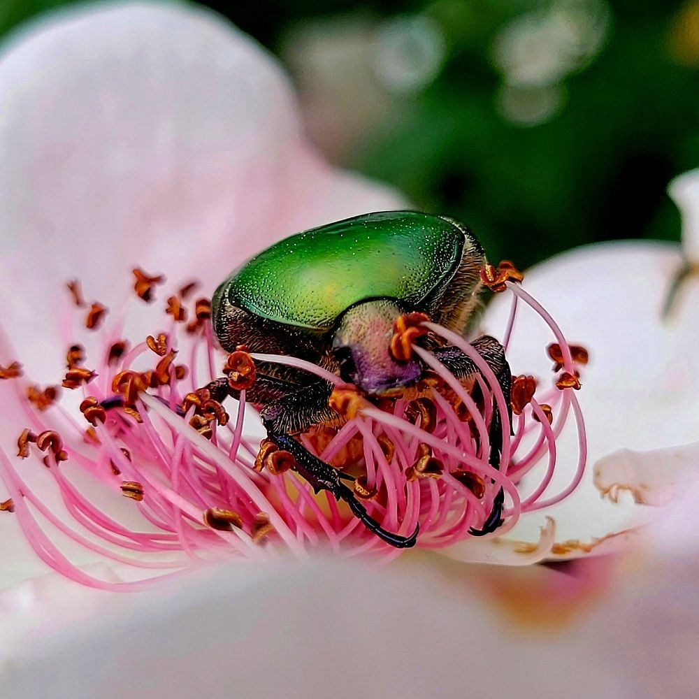 Photograph by Catherine