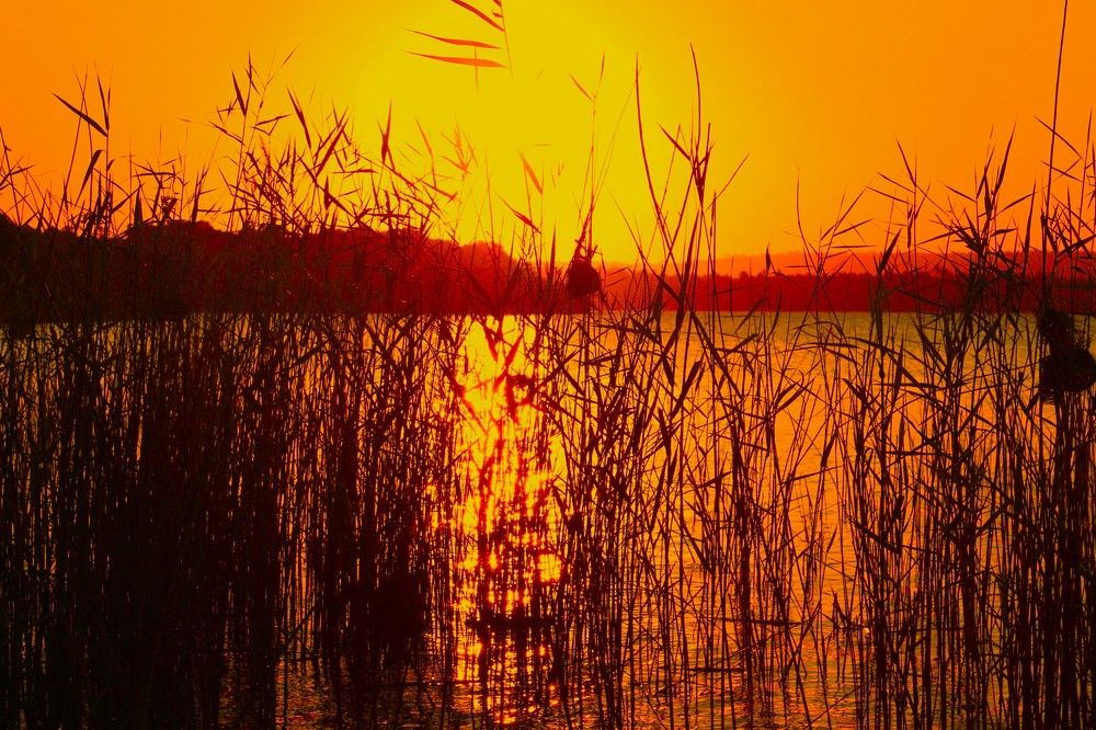 Photograph by Mário Fernando