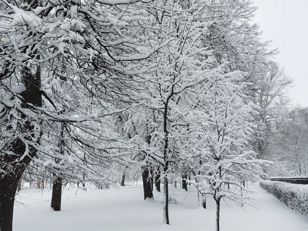 Снежное украшение