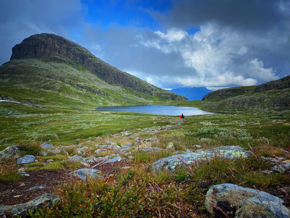 Photograph by Юлия Зырина