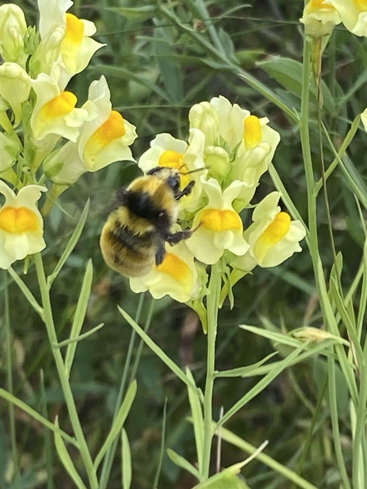 Photograph by Елена Мусина