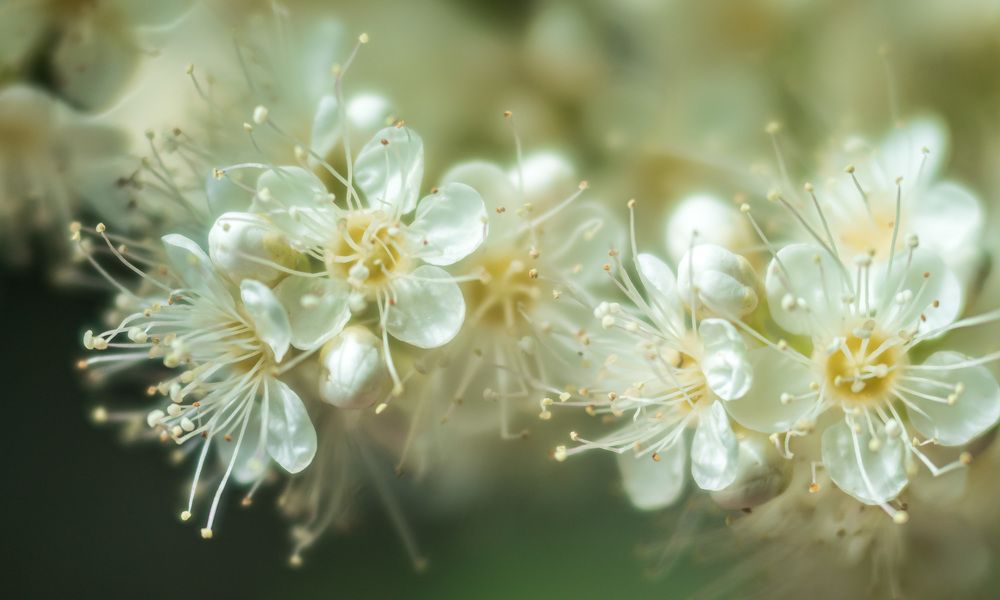 Photograph by Irina Luidinshina