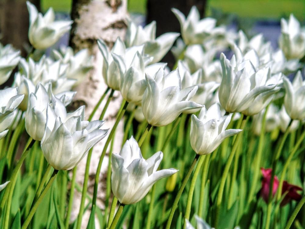 Photograph by Ольга Хромова