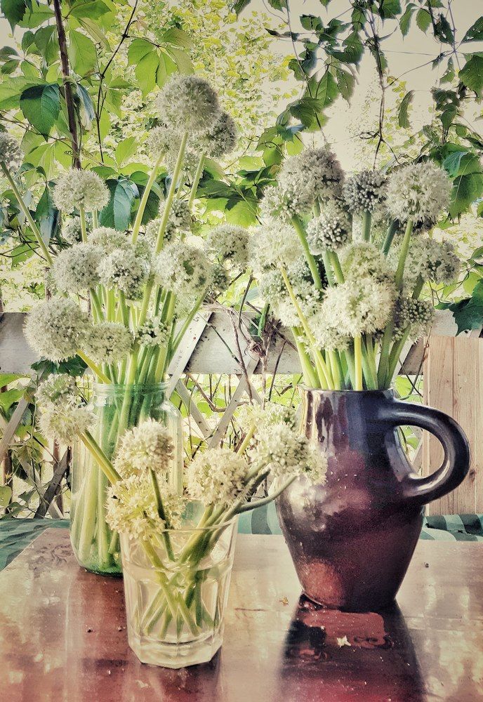 Photograph by Ольга Хромова