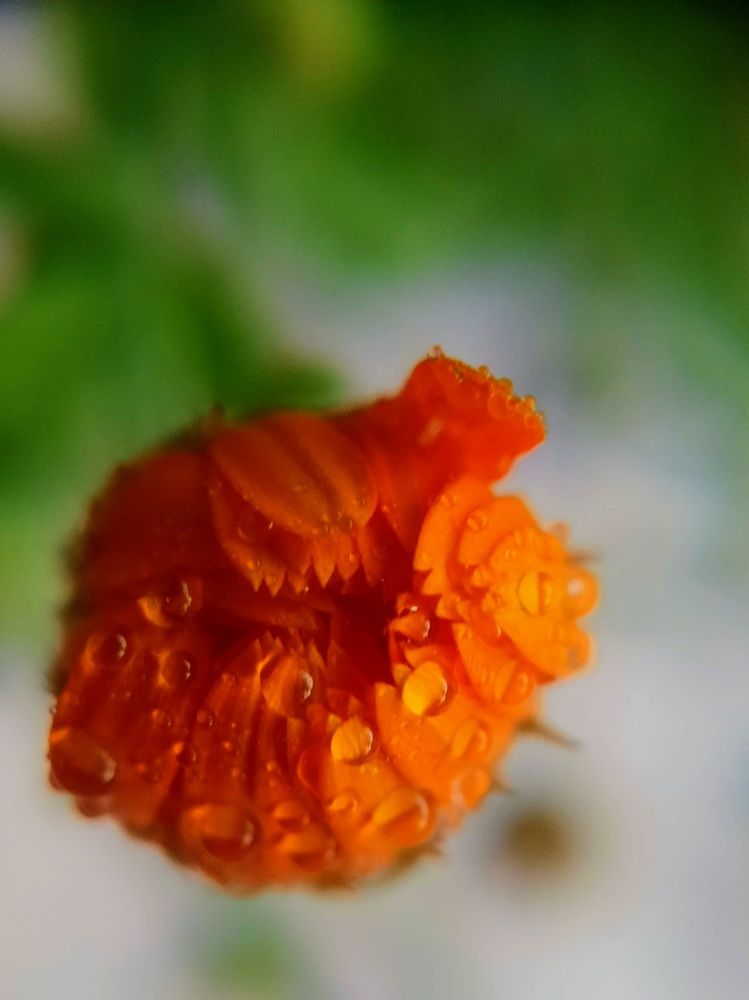 Photograph by Любовь Войтишина