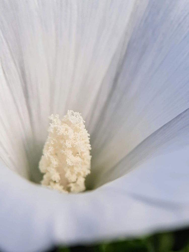 Photograph by Любовь Войтишина