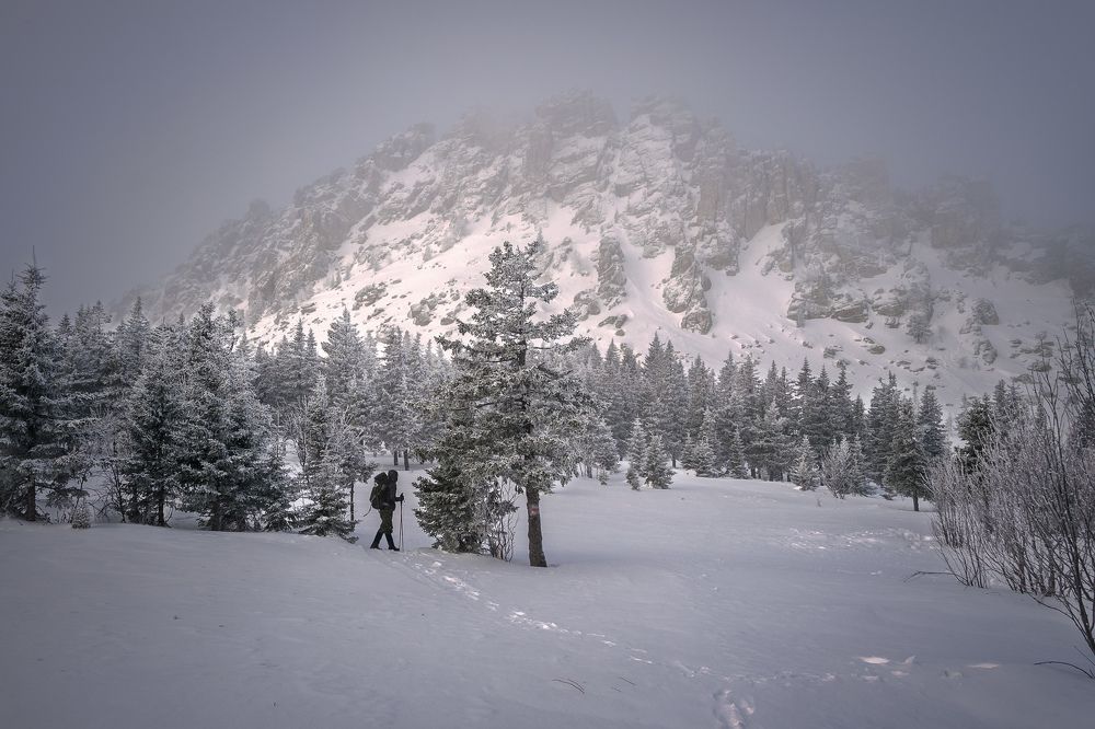 Я сюда вновь вернусь...