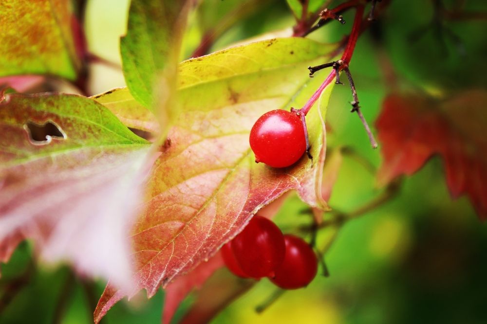 Photograph by Иван Крылов