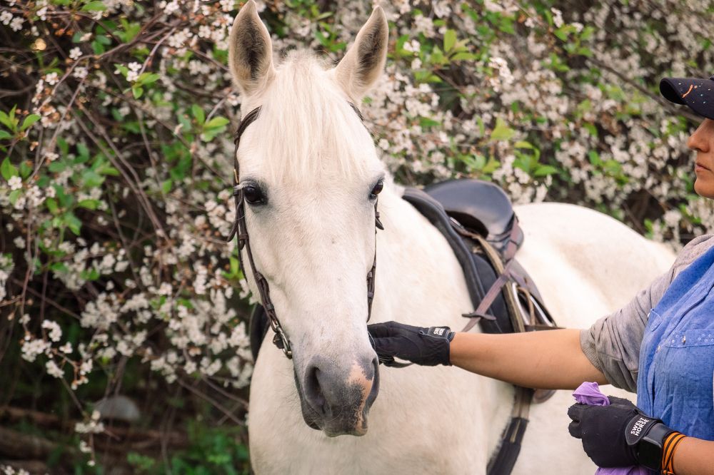 Photograph by Александра Андреевна Пугачева