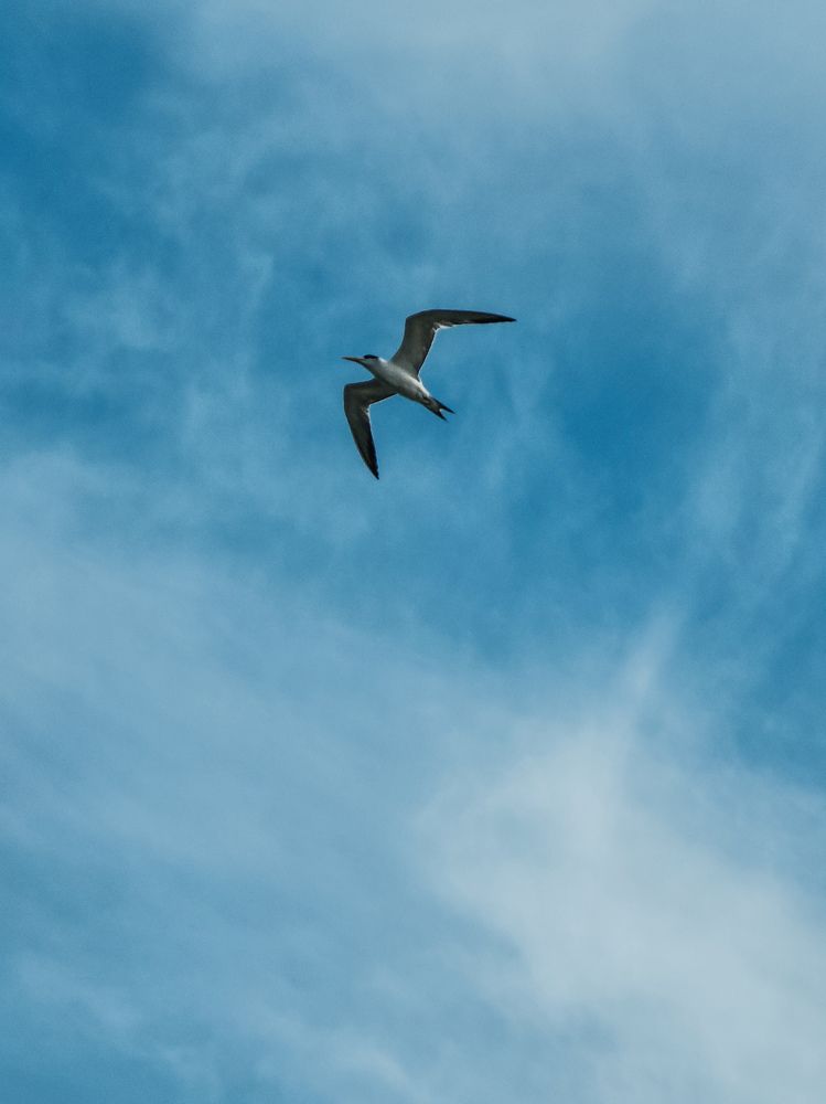 Photograph by Herald Jaison