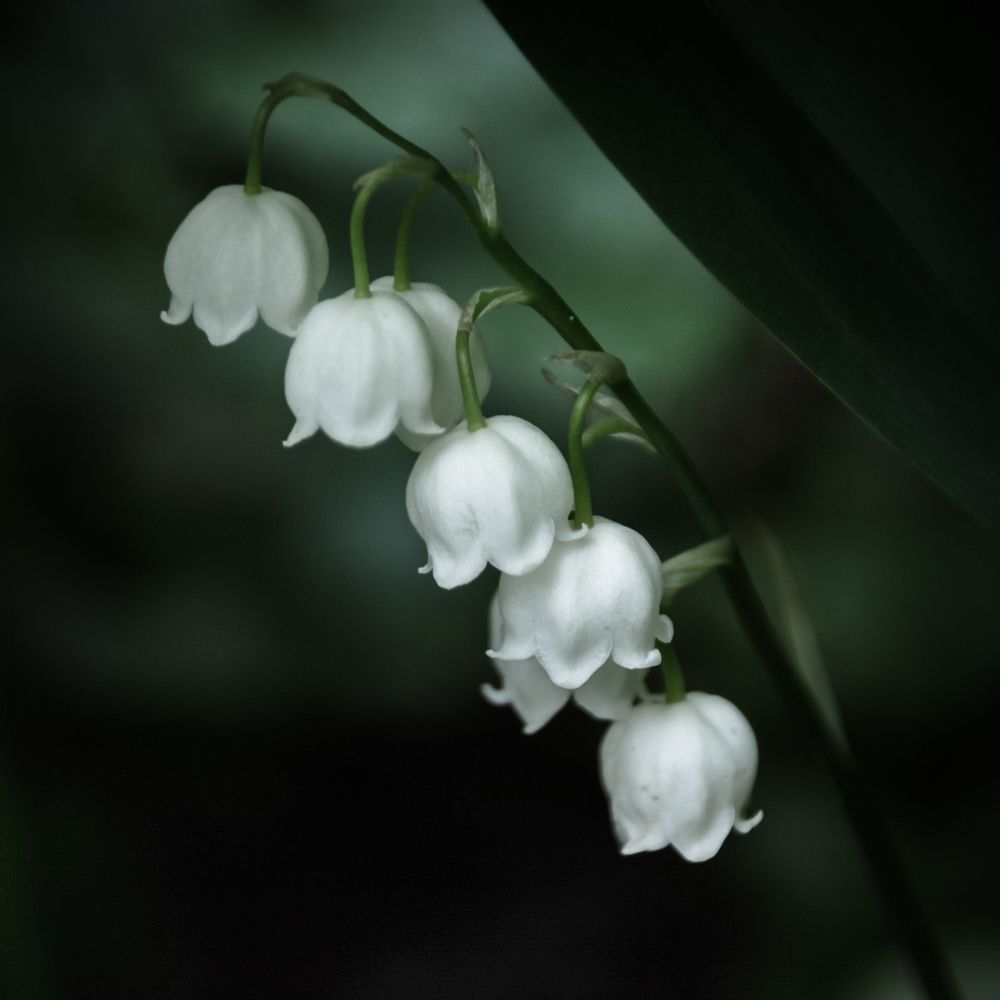 Photograph by Татьяна Романова