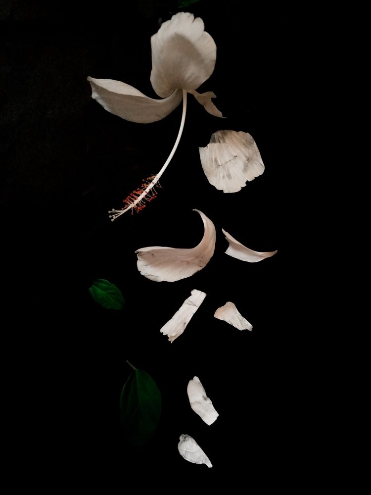 Photograph by Sheryne Suarez