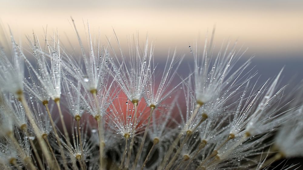 Photograph by Людмила Железнова