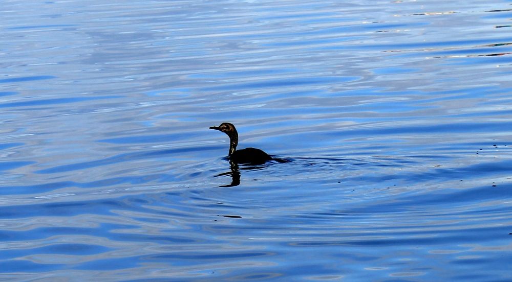 Photograph by Olga Bagaeva