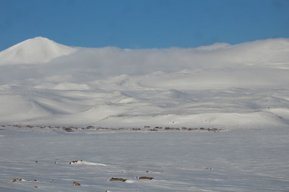 Фотография автора Mariami Sanishvili