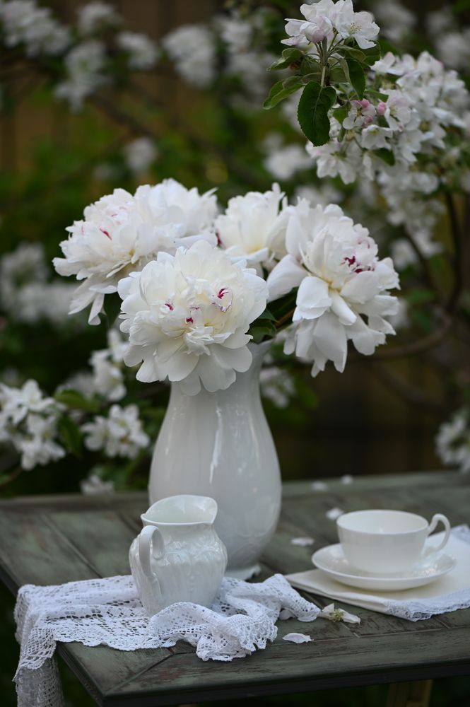 Photograph by Ирина Александрова