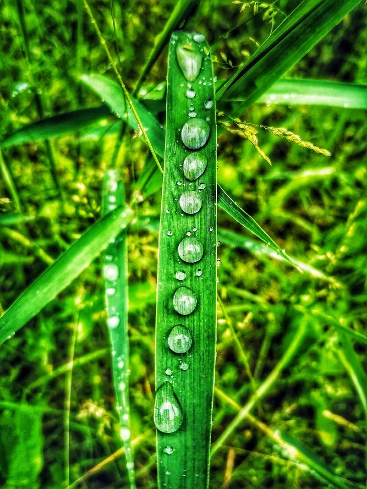 Photograph by Дайана