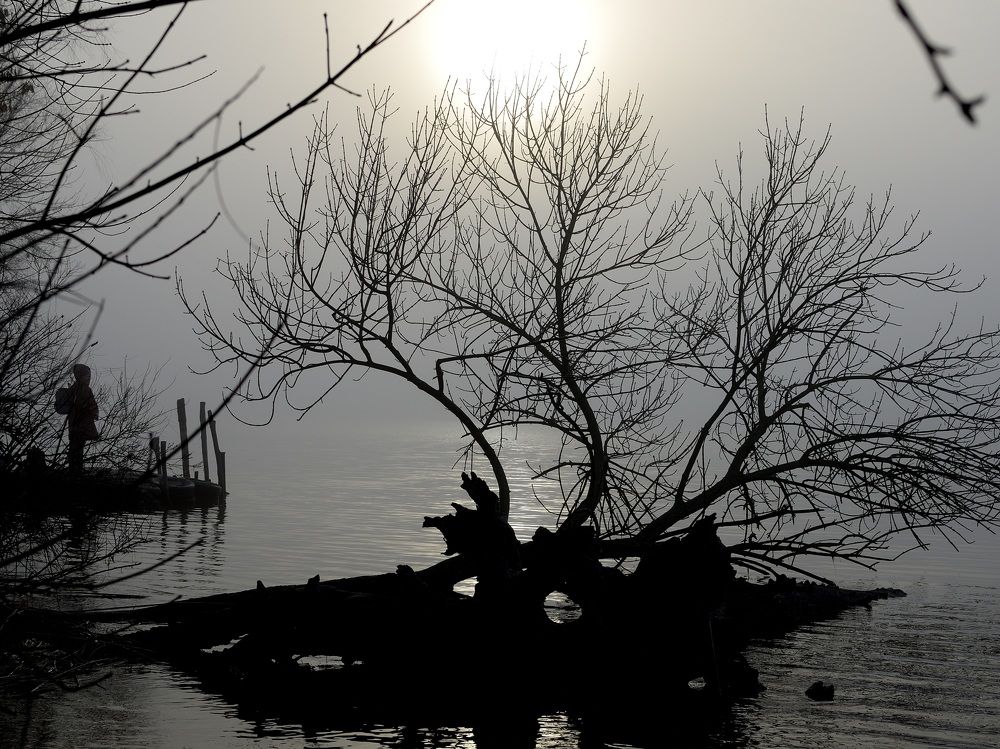 Фотография автора Aleksei Batiukov