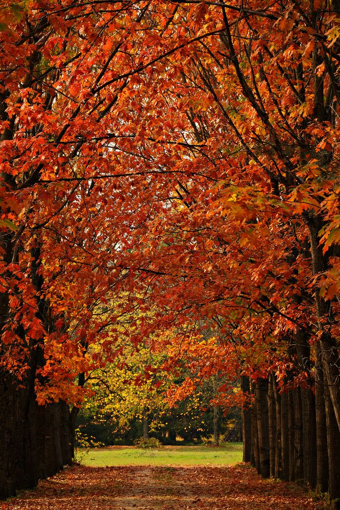 Photograph by Геннадий Натье (Игнатьев)