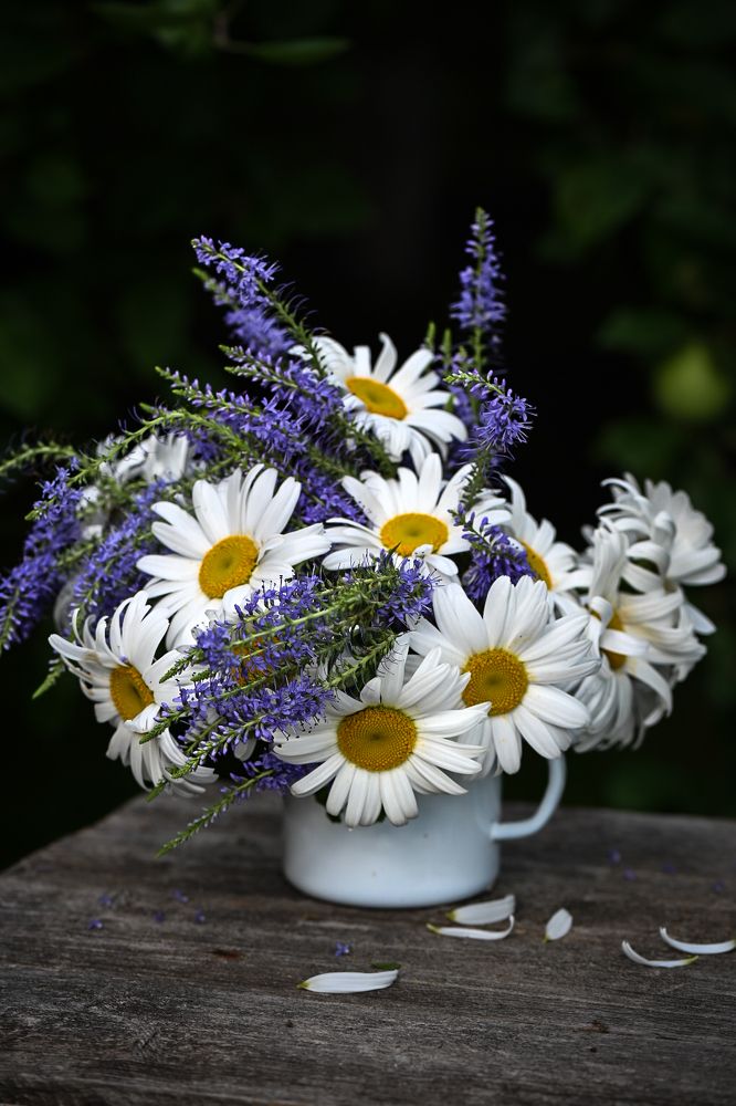 Photograph by Ирина Александрова