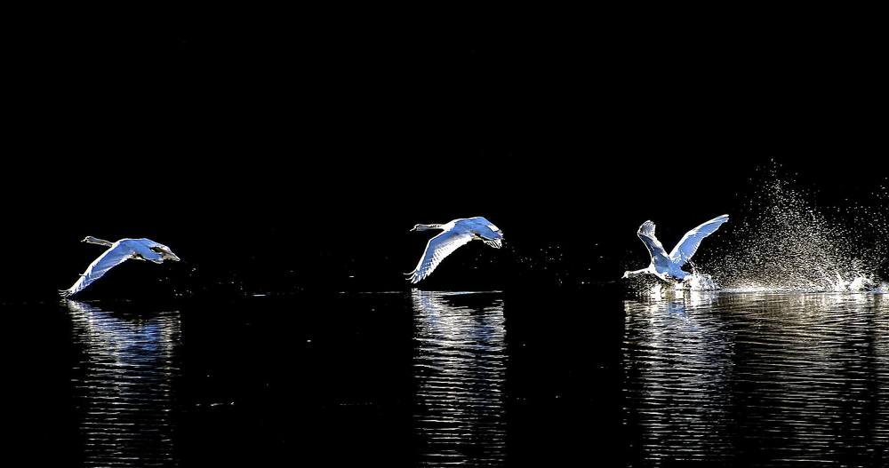 Фотография автора Александр