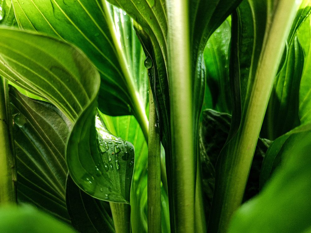 Photograph by Катерина Байдовская