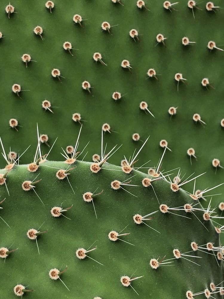 Photograph by Мария Бессмертная