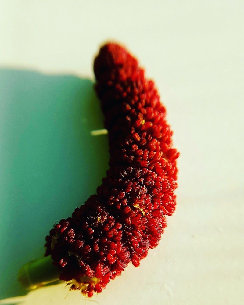 Photograph by Каковкина Ольга