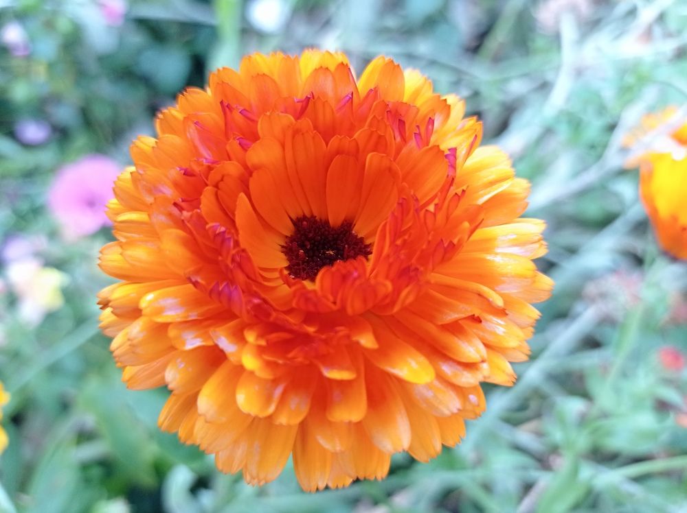 Photograph by Ирина Немкина