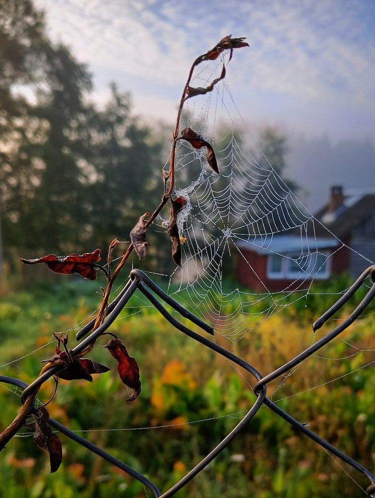 Photograph by Елена Васильева