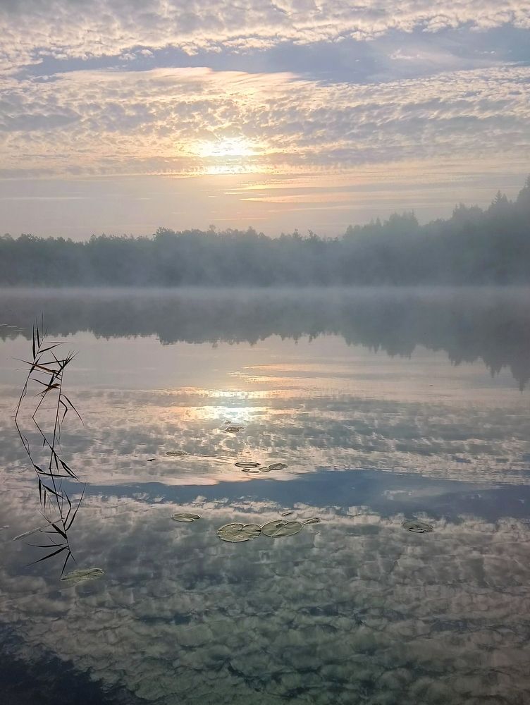 Photograph by Елена Васильева