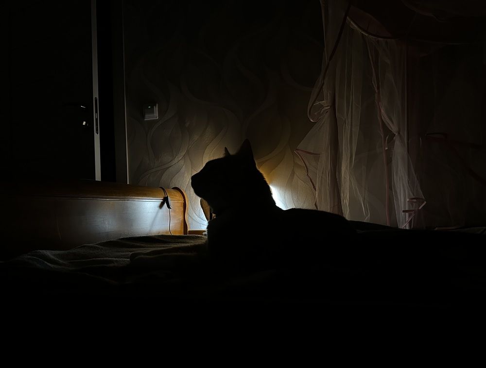 Photograph by Екатерина Балакина