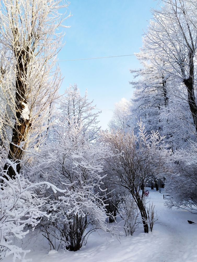 Photograph by Olga Kot