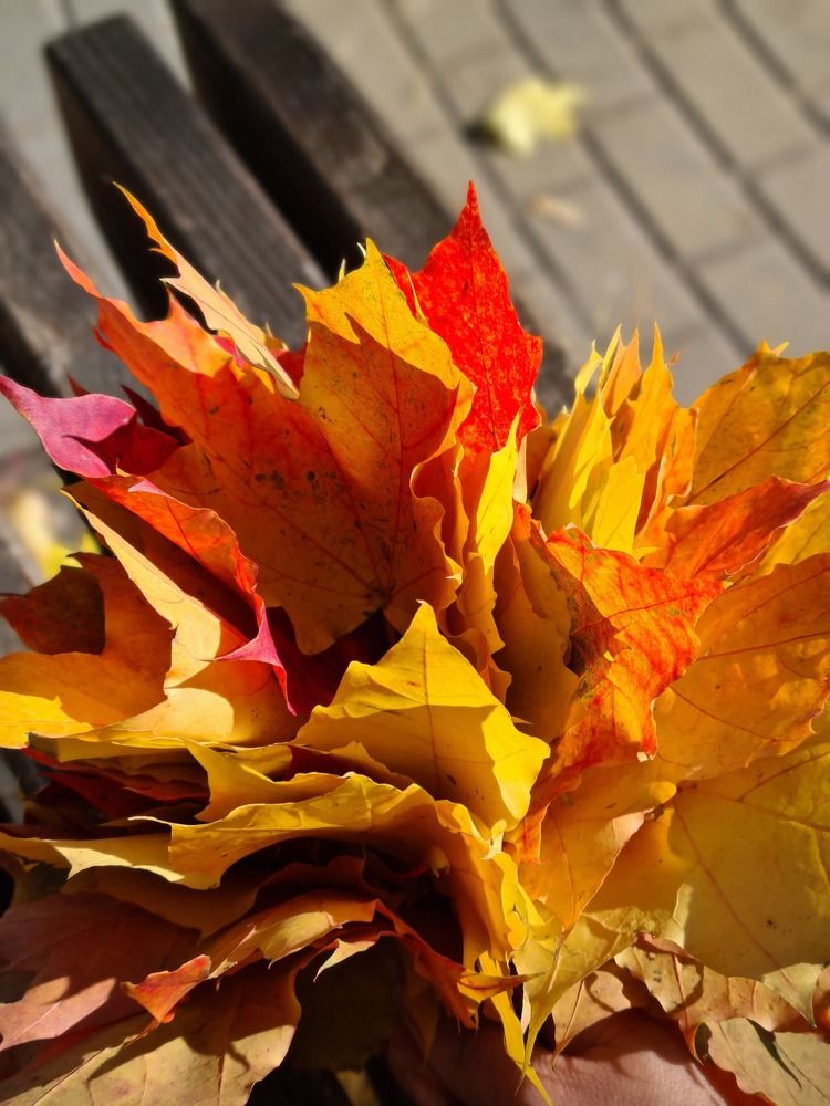 Photograph by Елена Квасова