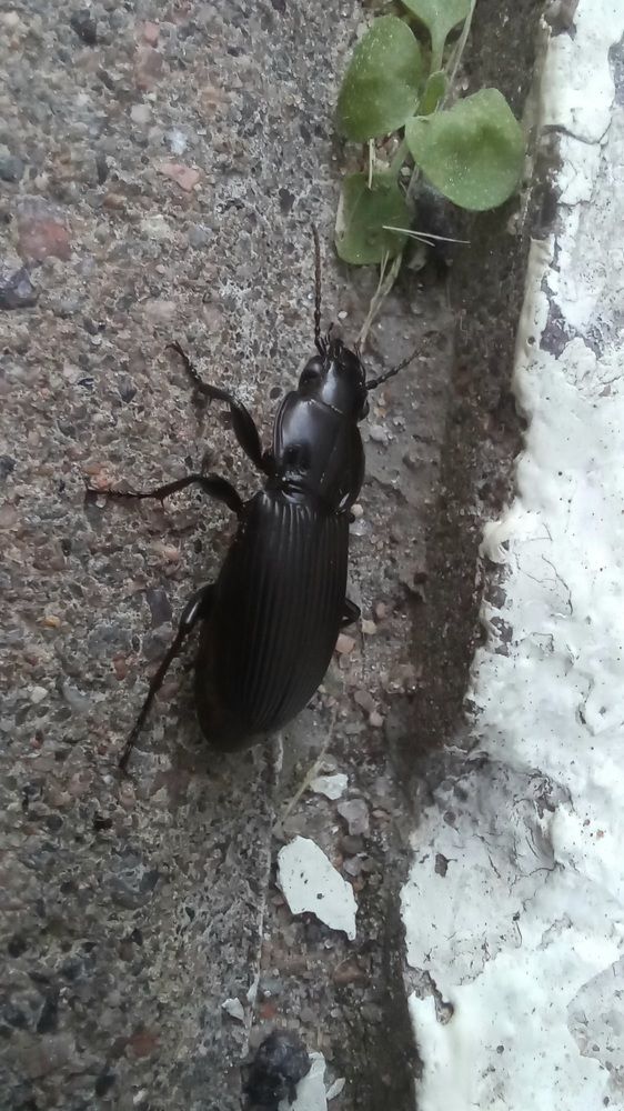 Photograph by Каковкина Ольга