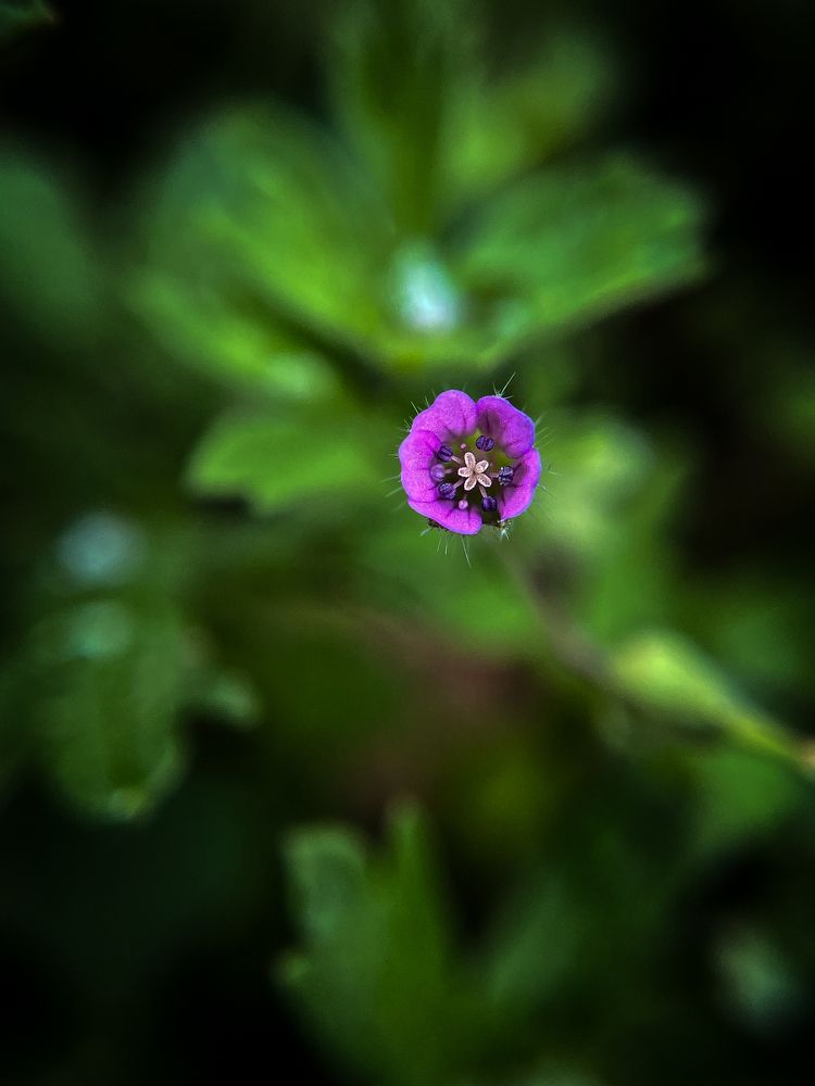 Photograph by Анна Пигулевская