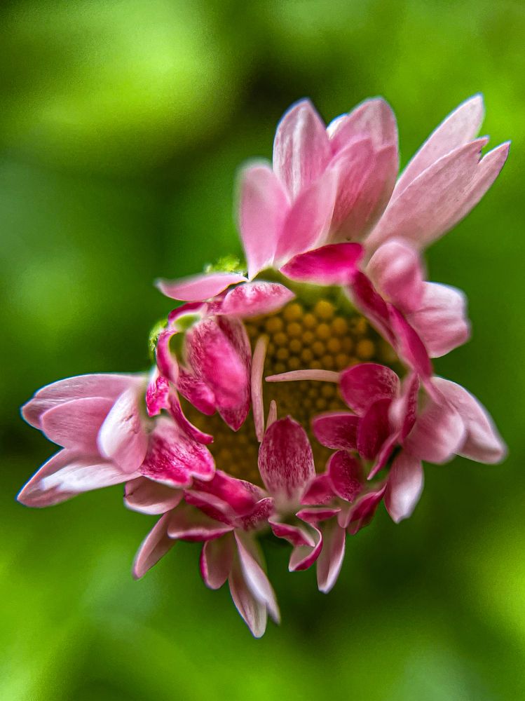 Photograph by Анна Пигулевская